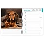 2026 BrownTrout Dachshunds 6.5" x 7.75" Weekly Planner (9798330703104)~#|#~5EFB1C19-73B9-45F4-A25B148D16B3D2BC_sc7