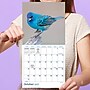 2027 TF Publishing Backyard Birds 7" x 7" Monthly Wall Calendar, Multicolored (27-2013)~#|#~5EFFBC4A-2ACA-4AE1-B45843BF20D849F4_sc7