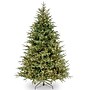 National Tree Company Frasier Grande Artificial Christmas Trees (PEFG4-308D-65)~#|#~5F0E127A-EA05-4E53-8C027BCD771F3756_sc7