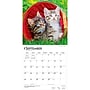2027 BrownTrout I Love Kittens 12" x 12" Monthly Wall Calendar (9798330711802)~#|#~5F12DEA9-C866-4ABC-A5AE01D39C4BABF4_sc7