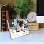2027 Willow Creek Just Pugs 5.4" x 6.2" Day-to-Day Calendar (63699)~#|#~5F3DE1C9-A5F9-474E-B882CE099FF324B4_sc7