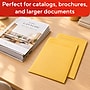 Staples Self Seal #13 1/2 Kraft Catalog Envelope, 10" x 13", Brown, 250/Box (ST486933-CC)~#|#~5F431E60-42E0-490B-88AC1BC1E619653C_sc7