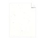 Astrobrights 65 lb. Cardstock Paper, 8.5" x 11", Stardust White, 250 Sheets/Pack (21408/22401)~#|#~5F5460D0-12BB-4D6D-8E0DF14AA06B1093_sc7