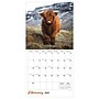 2027 TF Publishing Highland Cows 12" x 12" Monthly Wall Calendar, Multicolored (27-1061)~#|#~5F69B3EB-B7F3-422A-81A1D3FF8324A077_sc7