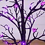 Nearly Natural Pre-Lit Artificial Halloween Spider Twig Tree, 3' (T5362)~#|#~5F7C8A0F-53D6-493F-8376D07EA4121BAD_sc7