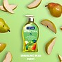 Softsoap Antibacterial Liquid Hand Soap, Sparkling Pear Scent, 6/Carton (US07326ACT)~#|#~5F88EFD6-0DDC-428F-9A4A29FBAB4ED2B5_sc7
