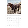 2026 Willow Creek Sporting Dogs 12" x 12" Monthly Wall Calendar (55557)~#|#~5FC16B5C-0BAB-499C-ACA6AD0DC346EE62_sc7