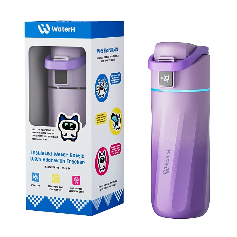 WaterH Boost Stainless Steel Vacuum Insulated Water Bottle, 16 oz., Purple (B003-MA-16oz-GPL-NA-WH) image 1