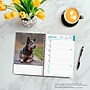 2026 BrownTrout Blue Heelers 6.5" x 7.75" Weekly Planner (9798330702503)~#|#~5FE421CF-C799-4523-92C49904A71A8B7C_sc7