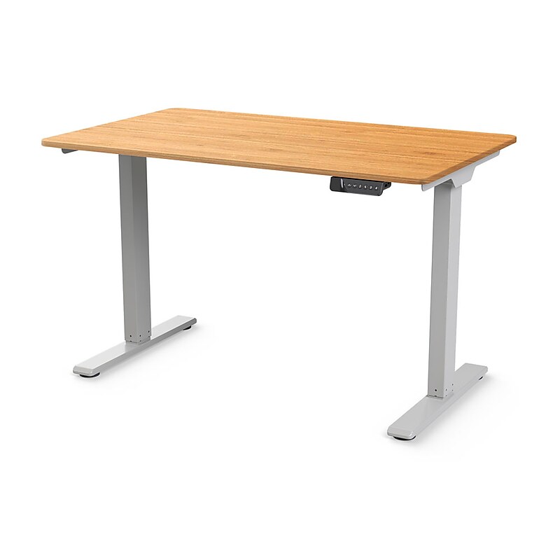 Humanscale eFloat Go 2.0 48"W Electric Rectangular Adjustable Standing Desk, Bamboo (FYH12TS2448BM) image 1