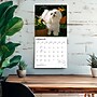 2027 BrownTrout Maltese 12" x 12" Monthly Wall Calendar (9798330714742)~#|#~600DB3C7-2F9C-417D-849F05218311396A_sc7