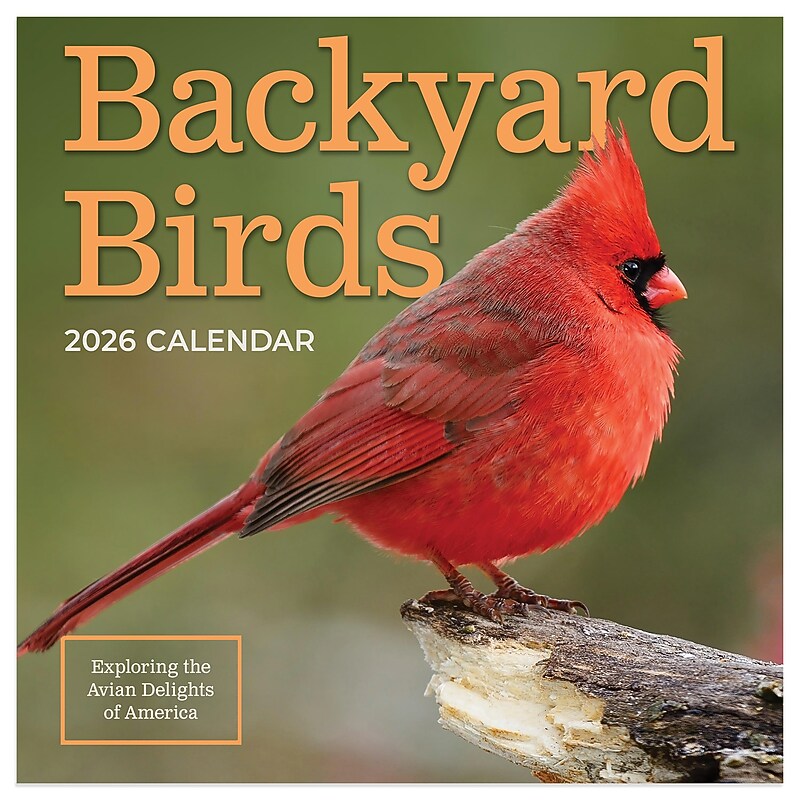 2026 TF Publishing 12" x 17" TF Publishing 7" x 7" Backyard Birds Mini Calendar 26-2013 image 1