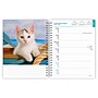 2027 BrownTrout Kittens 6.5" x 7.8" Calendar Year Weekly Standard Planner, Multicolor (9798330709434)~#|#~60394A09-53A1-4985-91305288072DEC19_sc7