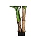 Monarch Specialties Inc. 55" Artificial Banana Tree in Pot (I 9568)~#|#~603B228C-6B94-462D-A25D07347230FE2F_sc7