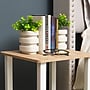 Mind Reader Concrete Book Ends, 5", White, 2/Set (OVBPLANT-WHT)~#|#~604DC45A-E5CA-436F-90DBE92660A80F2F_sc7