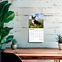 2026 BrownTrout Welsh Corgis 7" x 7" Monthly Wall Calendar (9798330706228)~#|#~608668D5-A010-47B5-992229B0DEBA7EC6_sc7