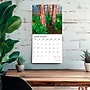 2026 Plato America's National Parks 12" x 12" Monthly Wall Calendar (9798330706617)~#|#~609846A5-3D2F-42B9-A783AC4041D90BA3_sc7