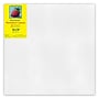 Strathmore 300 Series Primed White Stretched Canvas, 16" x 16", (STT31366)~#|#~60A2F64B-B4D0-4760-B63409E1CF22B39F_sc7