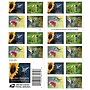 USPS Garden Delights Forever 20 Postage Stamps (FOR-GARDENDE-20)~#|#~60BBB1F0-D40A-4073-8CBF29D74DF5C1CA_sc7