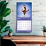 2026 BrownTrout Chats de Yoga OFFICIEL 12" x 12" Monthly Wall Calendar (9798330707348)~#|#~60BF348A-82DB-4D5C-A1FF94F9381D77F8_sc7