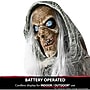 Haunted Hill Farm Life-Size Animatronic Witch (HHWITCH-7FLSA)~#|#~60D522D9-DE87-4B2A-90FD8C9918342883_sc7