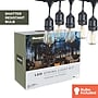 Bulbrite 14-foot String Light Kit with Clear Shatter Resistant Vintage Style S14 LED Light Bulbs (812143)~#|#~60D7B4BE-193C-4CCC-A8D8484E5AFF0FDC_sc7