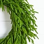 Nearly Natural Pre-Lit Artificial Real Touch Norfolk Island Pine Wreath, 24" (W1392)~#|#~60D88A09-50D2-477F-B97B0DC2F5583A24_sc7