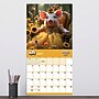 2027 TF Publishing Playful Pigs 11" x 12" Monthly Wall Calendar, Multicolored (27-1023)~#|#~60D91AD8-78B4-446C-82D9B8FB7485B6C4_sc7
