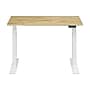 FlexiSpot E7 Commercial 48''W Electric Adjustable Standing Desk, Rubberwood/White (E7WCOM4824-RW)~#|#~60DD78DA-90C8-43FE-AC8EE19E5747CFAA_sc7