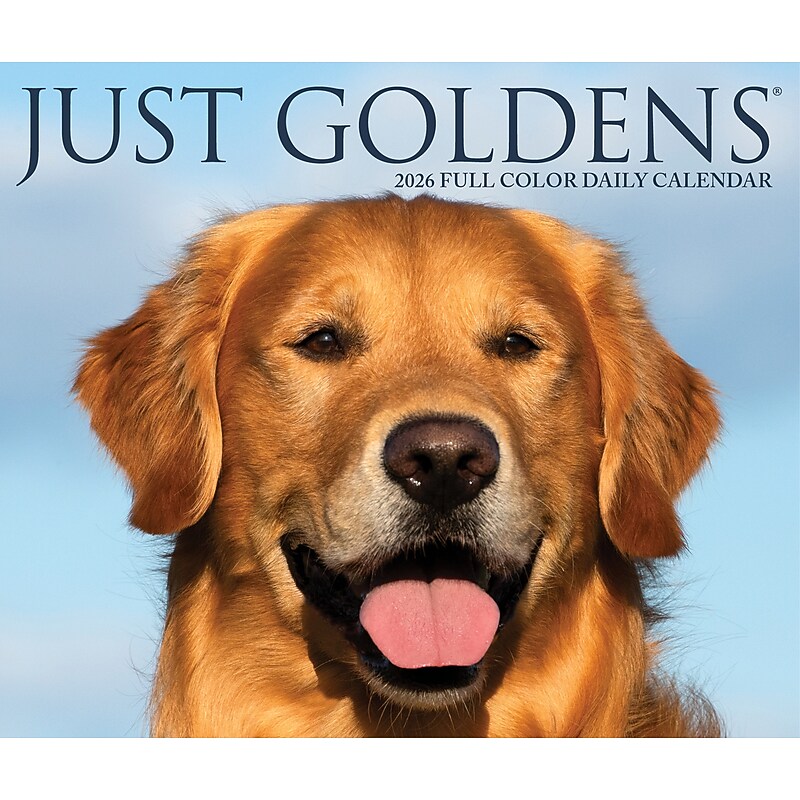 2026 Willow Creek Goldens 6.2" x 5.4" Day-to-Day Calendar (54192) image 1