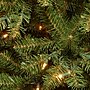National Tree Company Aspen Spruce Artificial Christmas Tree, 6.5 ft., Clear Lights (AP7-300-65)~#|#~60E8E521-2421-42DF-8D97D4144BDCDF79_sc7