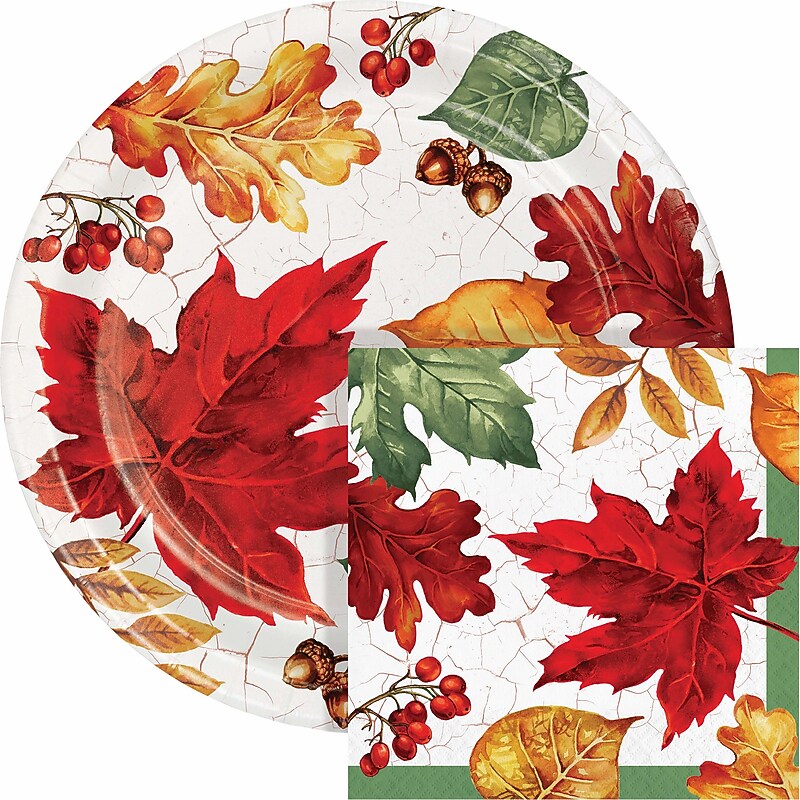 Say Hooray! Autumn Air Paper Plates and Napkins Kit, Multicolored, 48/Pack (DTC9387E2G) image 1
