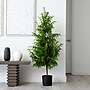 Nearly Natural Artificial Norfolk Pine Tree, 5' (T4709)~#|#~60F2AE8C-D7E0-4257-B45BDF36A88779E7_sc7
