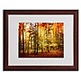 Trademark Philippe Sainte-Laudy "Fall Color" Art, White Matte With Wood Frame, 16" x 20"~#|#~60F93C88-0C4C-4814-BE37422CDED9C1F5_sc7