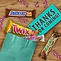 Mars Variety Pack SNICKERS, TWIX, 3 MUSKETEERS & MILKY WAY Milk Chocolate Candy Bars, 55 oz., 30 Pieces (220-00085)~#|#~61380798-5FE8-4620-AB067F528D758326_sc7