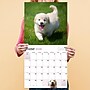 2026 TF Publishing Puppies 12" x 12" Monthly Wall Calendar, Multi (26-1025)~#|#~613A5CE7-2E0A-4597-BE93C6DD06438527_sc7