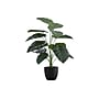 Monarch Specialties Inc. 24" Artificial Alocasia Plant in Pot (I 9578)~#|#~614057B1-4C89-40DA-9ACD8E0C926143F8_sc7