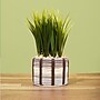 Lifelines FlowCrafts: Cord-Wrapped Planters (167005)~#|#~614F11A3-99BA-48D1-9979754CA48732D6_sc7