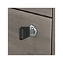 Bush Furniture Homestead 2-Drawer Lateral File Cabinet, Letter/Legal Size, Lockable, Driftwood Gray (HOF129DG-Z)~#|#~615FB684-D9AE-4D23-BB11206920F11524_sc7