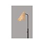 Adesso Cove 58" Metal Floor Lamp with Irregular Shade (5113-01)~#|#~6164B986-3888-4324-928CE91936EFB312_sc7