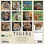 2027 Willow Creek Tigers 12" x 12" Monthly Wall Calendar, Assorted Colors (62616)~#|#~616678EF-C89D-4C4A-BD69C025CE46474D_sc7