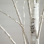 Nearly Natural 6' Pre-Lit Artificial White Birch Tree with 300 Warm White LED Lights (T4910)~#|#~61A86661-D334-4855-AA4CB0445B937B90_sc7