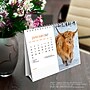 2027 BrownTrout Highland Cows 7.5" x 6" Monthly Wall Calendar, Assorted Colors (9798330716272)~#|#~61AE1B62-CEB4-48E4-990F03AF6EAF17DB_sc7