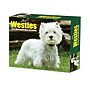 2027 Willow Creek Westies 5.4" x 6.2" Day-to-Day Calendar (63811)~#|#~61D115A7-734A-4CB7-9F3DB8E3CAE65492_sc7