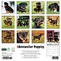 2026 Willow Creek Rottweiler Puppies 12" x 12" Monthly Wall Calendar (52600)~#|#~61D93543-82DE-475D-B3A01EE71C5B655B_sc7