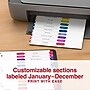 Staples Customizable Table of Contents Monthly Dividers, 12 Tabs, Multicolor, Printable Paper Design, Letter Size, 6 Sets~#|#~61E1D212-DEE1-4FFD-9EE4CDC28E4F7364_sc7