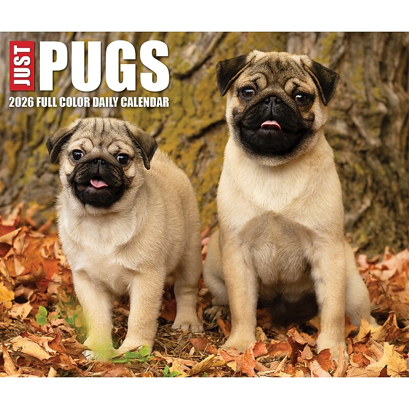 2026 Willow Creek Just Pugs 6.2" x 5.4" Day-to-Day Calendar (54376) image 1