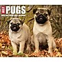 2026 Willow Creek Just Pugs 6.2" x 5.4" Day-to-Day Calendar (54376)~#|#~61E2446F-5CB7-4058-8B31519A87DBC389_sc7