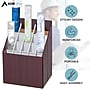 AdirOffice 20-Slot Roll File, 22"H x 12"W x 15"D, Walnut (628)~#|#~620D3DC1-9B39-407C-82330CF68530550E_sc7