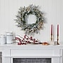 Nearly Natural 24-in Flocked Artificial Christmas Wreath with 50 LED Lights (W1128)~#|#~621760B6-2FE2-4BA5-9DD1F61D27F0FE31_sc7